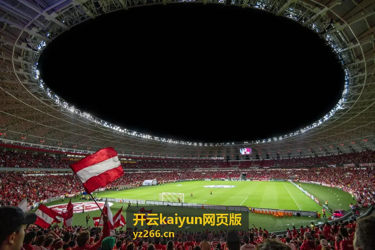 开云kaiyun网页版首次在浏览器中使用的说明配图