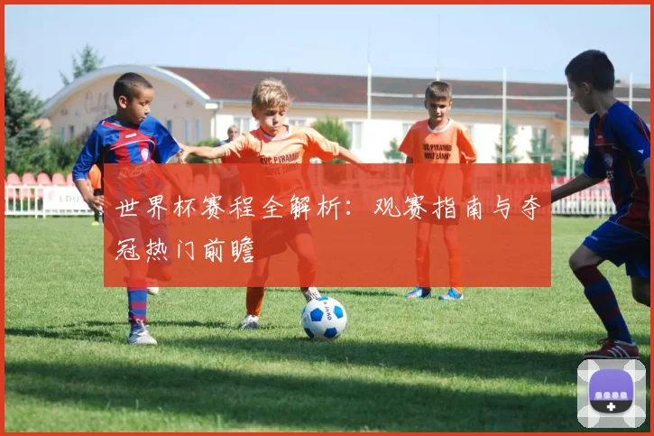 世界杯赛程全解析：观赛指南与夺冠热门前瞻
