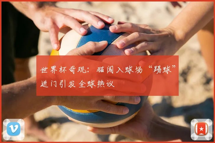 世界杯奇观:猫闯入球场“踢球”进门引发全球热议