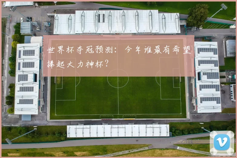 世界杯夺冠预测:今年谁最有希望捧起大力神杯?