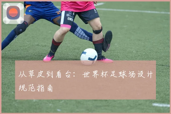 从草皮到看台：世界杯足球场设计规范指南