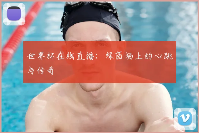 世界杯在线直播：绿茵场上的心跳与传奇