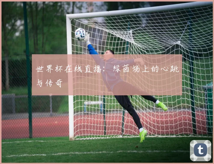 世界杯在线直播：绿茵场上的心跳与传奇