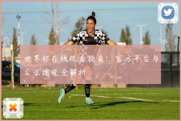 世界杯在线观看指南：官方平台与合法途径全解析