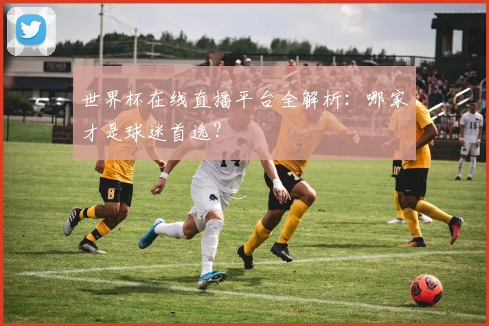 世界杯在线直播平台全解析：哪家才是球迷首选？
