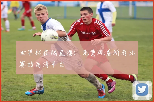 世界杯在线直播：免费观看所有比赛的高清平台