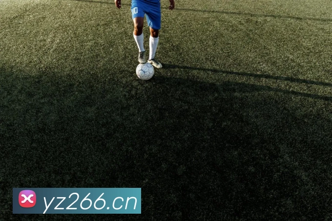 爱游戏官网 首页平台生态图