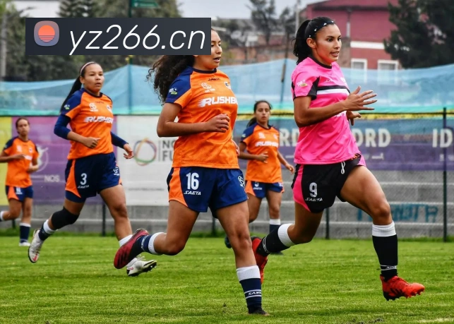 爱游戏官网 首页APP 封面图